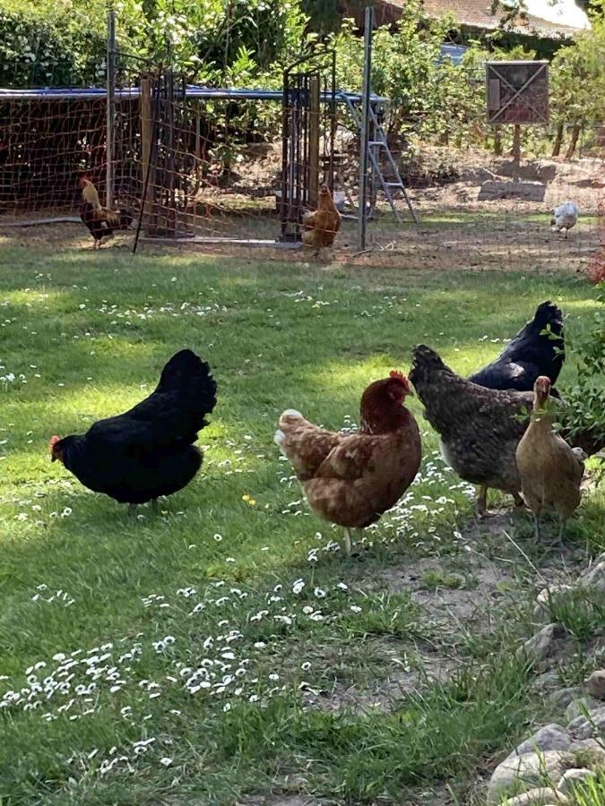 Hoeperhof Botersen Eksteriør billede